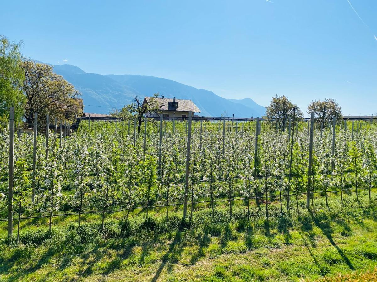 Pension Rebgut Bed and Breakfast Lana Exterior foto